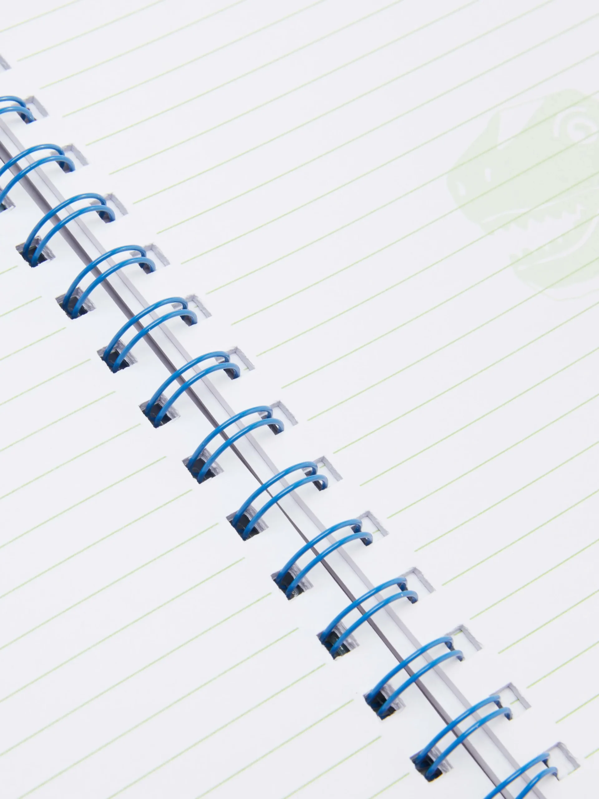 Bloco Notas A5 Fantasia Dinossauro