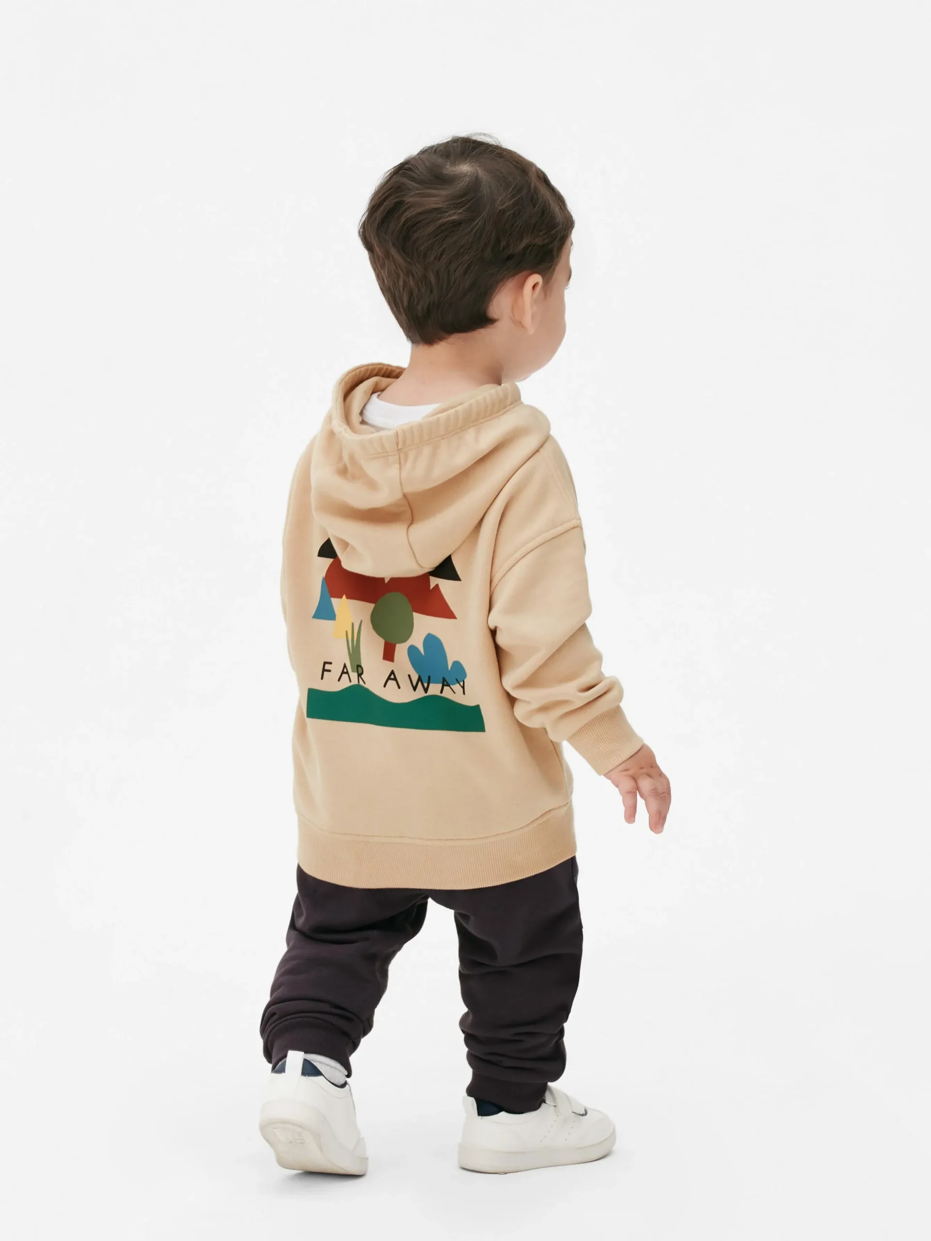 Conjunto Camisola Capuz/calças Treino