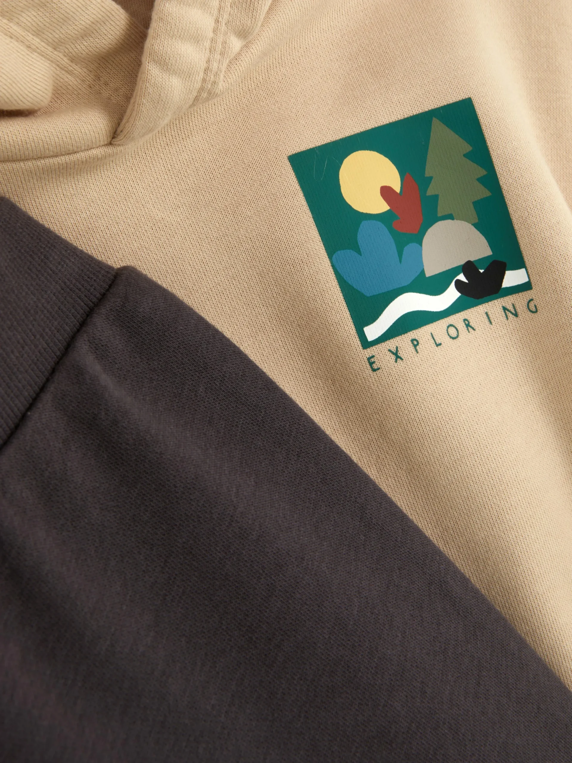 Conjunto Camisola Capuz/calças Treino