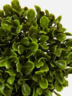 Suculenta Artificial Vaso